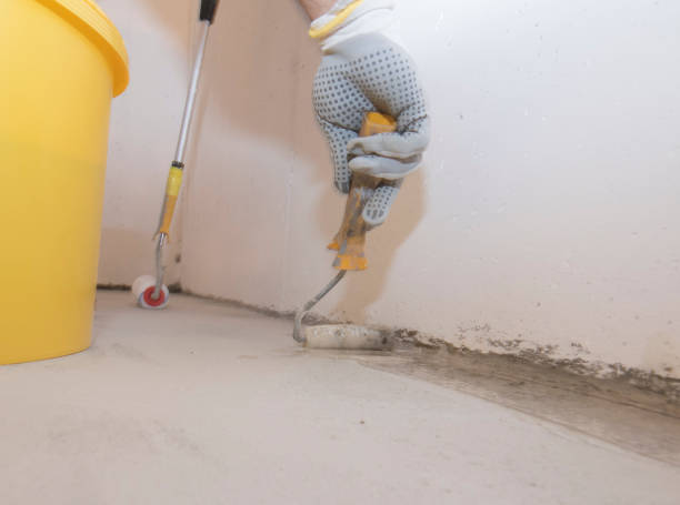 Best Pest Prevention Services  in Devine, TX